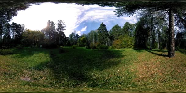 UHD 4K 360 VR Virtual Reality of a city park recreation area. Trees and green grass at autumn or summer day — Stock Video