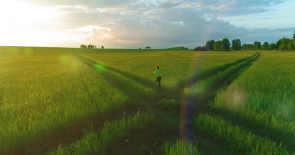 Спортивна дитина проходить через зелене пшеничне поле. Вечірні спортивні тренування на сільському лузі. Щасливе дитинство це здоровий спосіб життя. Радіальний рух, сонячні промені і трава . — стокове відео