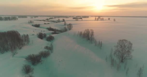 水平線上に冷たい北極のフィールドの風景、霜雪、氷の川と太陽の光を持つ木の空中ビュー。極端な低温の天候. — ストック動画