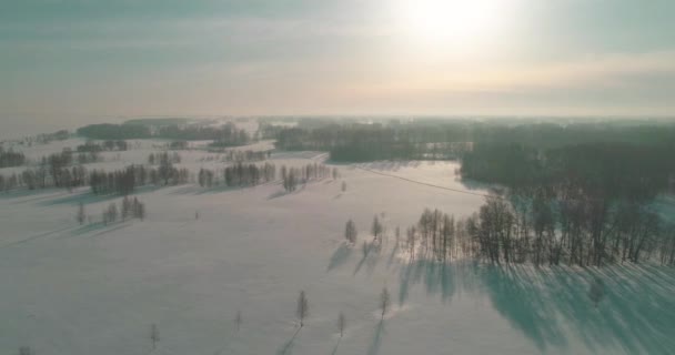 Luchtfoto van het koude winterlandschap van het poolgebied, bomen bedekt met vorst sneeuw, ijsrivier en zonnestralen over de horizon. Extreem lage temperatuur weer. — Stockvideo