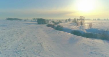 Soğuk kış manzarası kutup bölgesi, karla kaplı ağaçlar, ufukta buz nehri ve güneş ışınları. Aşırı düşük sıcaklık havası.