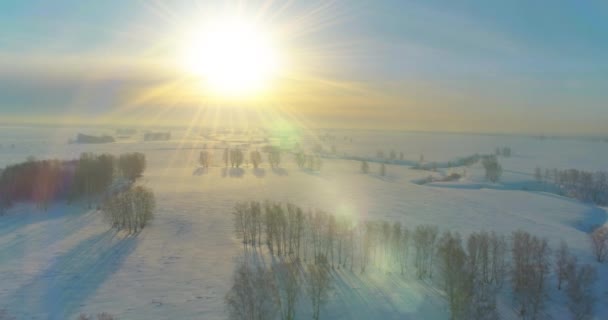 Flygfoto av kallt vinterlandskap arktiskt fält, träd täckta med frost snö, isälv och solstrålar över horisonten. Extremt låg temperatur väder. — Stockvideo