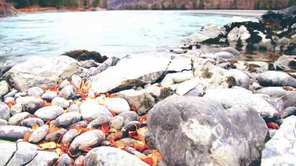 Ползунок Долли с брызгами воды в горной реке возле леса. Влажные камни и солнечные лучи. Горизонтальное устойчивое движение. — стоковое видео