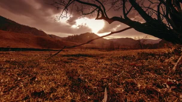 Zeitraffer von Todesbaum und trockenem, gelbem Gras in bergiger Landschaft mit Wolken und Sonnenstrahlen. Horizontale Schieberbewegung — Stockvideo