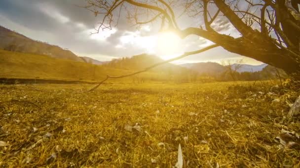 Time lapse of death tree and dry yellow grass at mountian landscape με σύννεφα και ακτίνες του ήλιου. Οριζόντια κίνηση κύλισης — Αρχείο Βίντεο