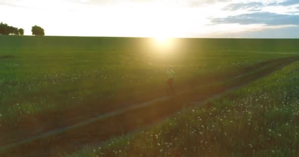 A criança desportiva atravessa um campo de trigo verde. Exercícios de treino desportivo nocturno no prado rural. Uma infância feliz é um modo de vida saudável. Movimento radial, raios de sol e grama. — Vídeo de Stock