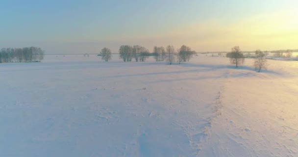 Vista aérea da paisagem fria do campo ártico, árvores com neve de geada, rio de gelo e raios de sol ao longo do horizonte. Tempo extremo de baixa temperatura. — Vídeo de Stock