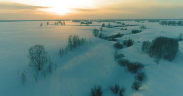 Vue aérienne du paysage froid des champs arctiques, des arbres avec neige verglaçante, rivière de glace et rayons du soleil sur l'horizon. Conditions météorologiques extrêmes à basse température. — Video