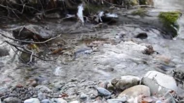 Dolly ormanın yakınındaki bir dağ nehrinde akan suyun kaygan görüntüsü. Islak kayalar ve güneş ışınları. Yatay sabit hareket. Çiğ düz renkler.