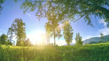 Yaz veya sonbahar aylarında dağ çayır zaman atlamalı. Vahşi doğa ve kırsal alan. Motorlu sürgü dolly hareketi.