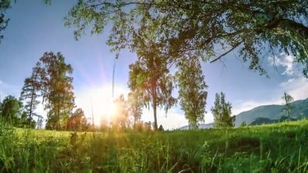 Berg äng Time-lapse på sommaren eller höst tiden. Vild natur och landsbygd. Motoriserad Slider Dolly rörelse. — Stockvideo