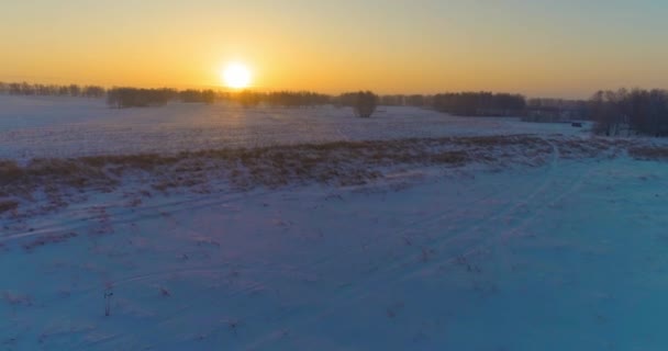 Veduta aerea drone del freddo paesaggio invernale con campo artico, alberi coperti di neve gelo e raggi del sole del mattino all'orizzonte. — Video Stock