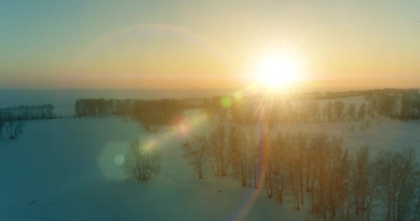 Vista aérea de drones del frío paisaje invernal con campo ártico, árboles cubiertos de nieve helada y rayos de sol matutinos sobre el horizonte. — Vídeos de Stock