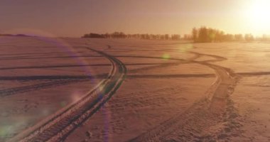 Arktik çayırlı soğuk kış manzarası, karla kaplı ağaçlar ve ufukta sabah güneşleri..