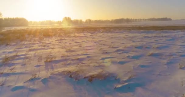 Vue aérienne par drone du paysage hivernal froid avec champ arctique, arbres couverts de neige verglaçante et rayons du soleil matinaux au-dessus de l'horizon. — Video