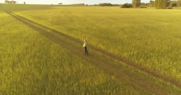 瘦小的孩子高高地站在青绿的麦田里.在农村草地上进行夜间体育训练。幸福的童年是一种健康的生活方式。雷达全景运动，太阳光和 — 图库视频影像