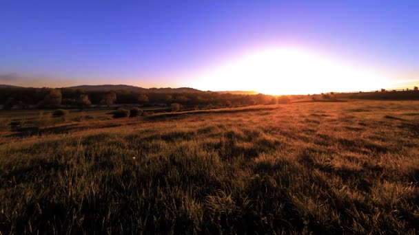 4K UHD prairie de montagne timelapse à l'été. Nuages, arbres, herbe verte et mouvement des rayons du soleil. — Video