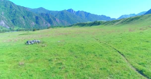 Yabani atların üzerinden uçarak çayırdaki sürüyü güderler. Bahar dağları vahşi doğa. Özgürlük ekolojisi kavramı. — Stok video