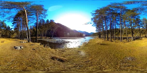 360 VR virtual reality van een wilde bergen, dennenbos en rivierstromen. Nationaal park, weide en zonnestralen. — Stockvideo