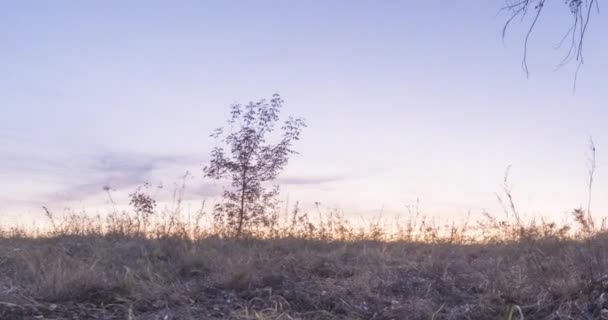 Czas łąki w okresie letnim lub jesiennym. Wiejskie promienie słońca, drzewa i zielona trawa. Zmotoryzowany suwak lalek o wschodzie słońca — Wideo stockowe