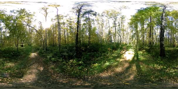 UHD 4K 360 VR Virtual Reality van een recreatiegebied in een stadspark. Bomen en groen gras op herfst- of zomerdag — Stockvideo