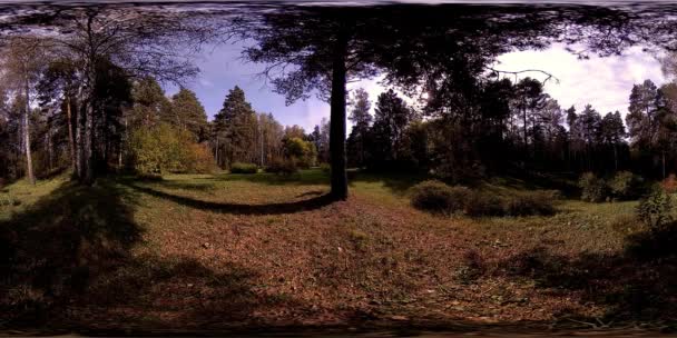UHD 4K 360 VR A városi park szabadidős területének virtuális valósága. Fák és zöld fű ősszel vagy nyáron — Stock videók