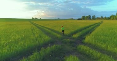Sportif çocuk yeşil buğday tarlasında koşuyor. Kırsal çayırlarda akşam sporu alıştırmaları. Mutlu bir çocukluk sağlıklı bir yaşam biçimidir. Radikal hareket, güneş ışınları ve ot.