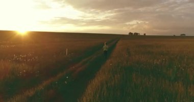 Sportif çocuk yaz yağmurunda yeşil buğday tarlasında koşar. Kırsal çayırlarda akşam sporu alıştırmaları. Mutlu bir çocukluk sağlıklı bir yaşam biçimidir. Radikal hareket, güneş ışınları ve ot.