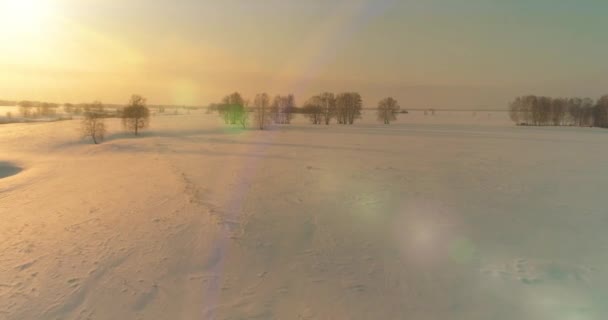 Vue aérienne du paysage froid des champs arctiques, des arbres avec neige verglaçante, rivière de glace et rayons du soleil sur l'horizon. Conditions météorologiques extrêmes à basse température. — Video