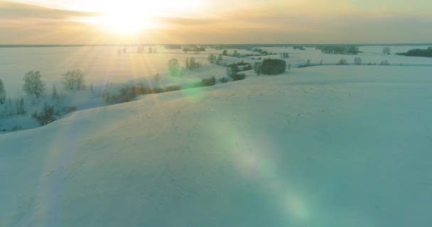 Veduta aerea del freddo paesaggio del campo artico, alberi con neve gelata, fiume ghiaccio e raggi solari all'orizzonte. Clima estremo a bassa temperatura. — Video Stock