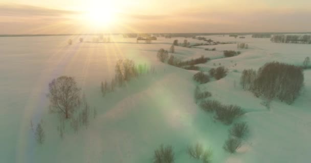 Luchtfoto van het koude arctische veld landschap, bomen met vorst sneeuw, ijsrivier en zonnestralen over de horizon. Extreem lage temperatuur weer. — Stockvideo