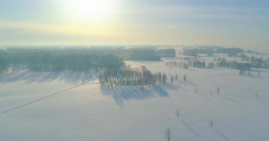 Soğuk kış manzarası kutup bölgesi, karla kaplı ağaçlar, ufukta buz nehri ve güneş ışınları. Aşırı düşük sıcaklık havası.