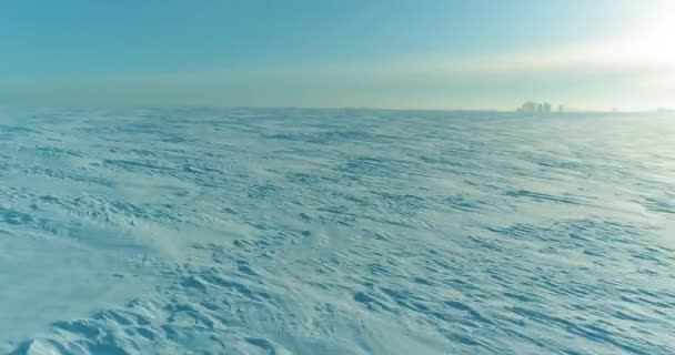 Soğuk kış manzarası kutup bölgesi, karla kaplı ağaçlar, ufukta buz nehri ve güneş ışınları. Aşırı düşük sıcaklık havası. — Stok video