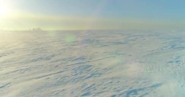 Soğuk kış manzarası kutup bölgesi, karla kaplı ağaçlar, ufukta buz nehri ve güneş ışınları. Aşırı düşük sıcaklık havası.