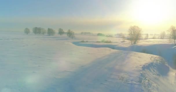 Luchtfoto van het koude winterlandschap van het poolgebied, bomen bedekt met vorst sneeuw, ijsrivier en zonnestralen over de horizon. Extreem lage temperatuur weer. — Stockvideo