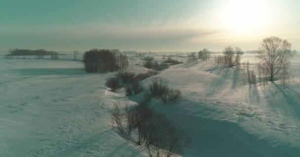 Vista aerea del freddo paesaggio invernale campo artico, alberi coperti di neve gelata, fiume ghiaccio e raggi solari all'orizzonte. Clima estremo a bassa temperatura. — Video Stock