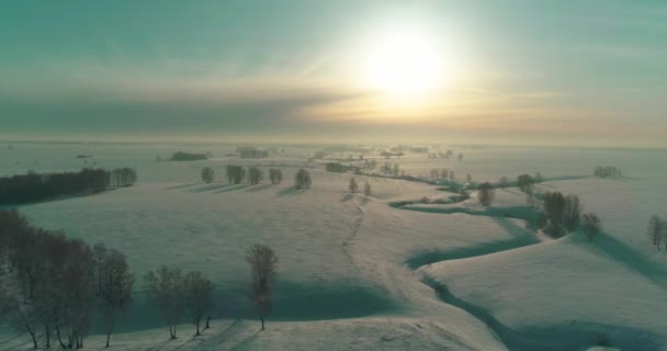 Aerial view of cold winter landscape arctic field, trees covered with frost snow, ice river and sun rays over horizon. Extreme low temperature weather. — Stock Video