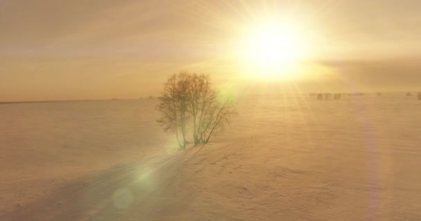 Vista aérea da paisagem fria inverno campo ártico, árvores cobertas com neve geada, rio de gelo e raios de sol sobre o horizonte. Tempo extremo de baixa temperatura. — Vídeo de Stock