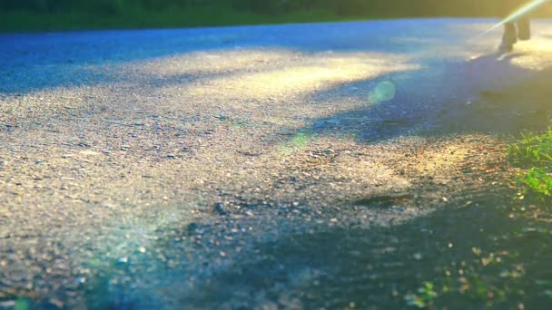 Sport man running at asphalt road. Rural city park. Green tree forest and sun rays on horizon. — Stock Video