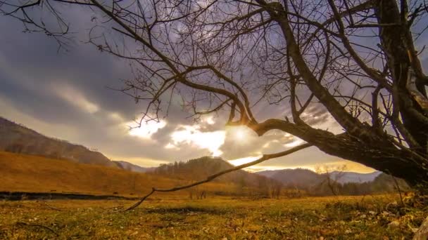 Lapso de tempo da árvore da morte e grama amarela seca na paisagem montanhosa com nuvens e raios de sol. Movimento deslizante horizontal — Vídeo de Stock