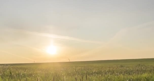 Timelapse Hill prado en el verano u otoño. Naturaleza salvaje sin fin y campo rural. Rayos de sol sobre hierba verde. Movimiento deslizante de dolly motorizado — Vídeo de stock