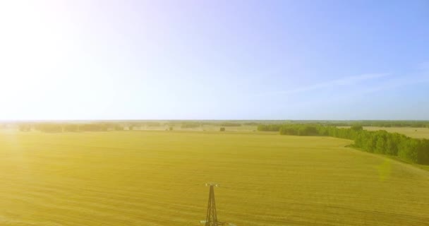 Vertikaler Bewegungsflug in der Nähe von Hochspannungsmasten und Hochspannungsleitungen im grünen und gelben Feld — Stockvideo