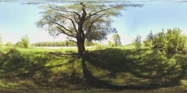 UHD 4K 360 VR Bir nehrin Sanal Gerçekliği güzel dağ ormanlarında kayaların üzerinden akıyor