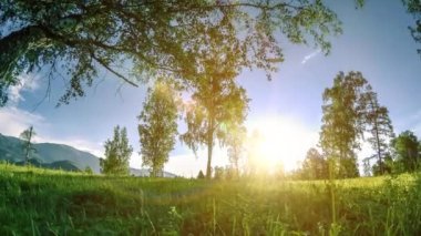Yaz veya sonbahar aylarında dağ çayır zaman atlamalı. Vahşi doğa ve kırsal alan. Motorlu sürgü dolly hareketi.