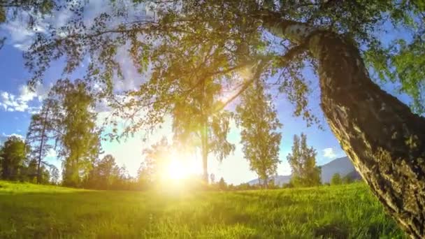 Mountain meadow time-lapse at the summer or autumn time. Wild nature and rural field. Motorised slider dolly movement. — Stock Video