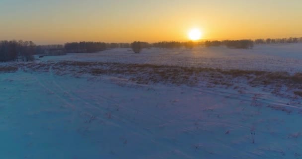 Vista aérea do drone da paisagem fria do inverno com campo ártico, árvores cobertas com neve da geada e raios do sol da manhã sobre o horizonte. — Vídeo de Stock