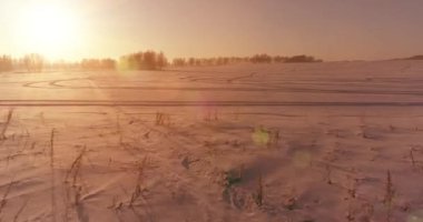 Arktik çayırlı soğuk kış manzarası, karla kaplı ağaçlar ve ufukta sabah güneşleri..