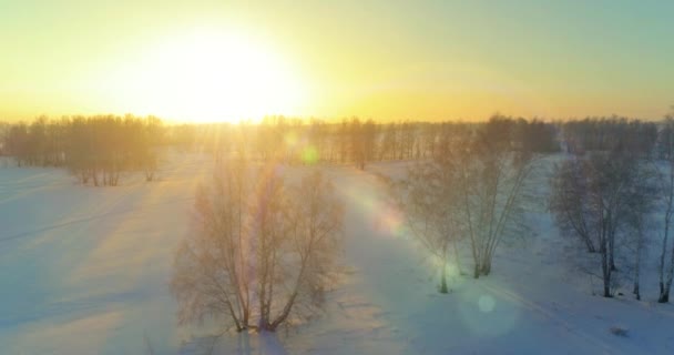 Veduta aerea drone del freddo paesaggio invernale con campo artico, alberi coperti di neve gelo e raggi del sole del mattino all'orizzonte. — Video Stock