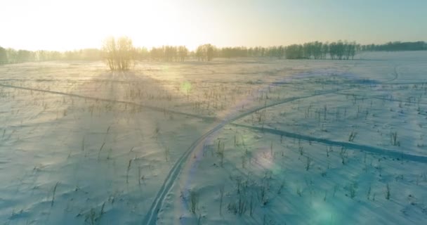 Повітряний безпілотник вид на холодний зимовий пейзаж з арктичним полем, дерева, покриті морозним снігом і ранковими променями сонця над горизонтом . — стокове відео
