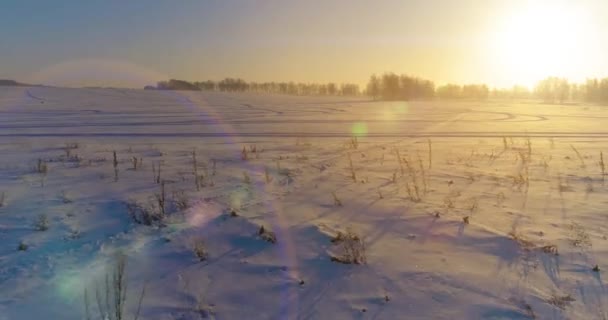 Flygdrönare syn på kallt vinterlandskap med arktiska fält, träd täckta med frost snö och morgonsol strålar över horisonten. — Stockvideo